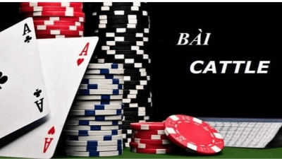 Game bài đổi thưởng Catte - Lựa chọn hàng đầu của bet thủ